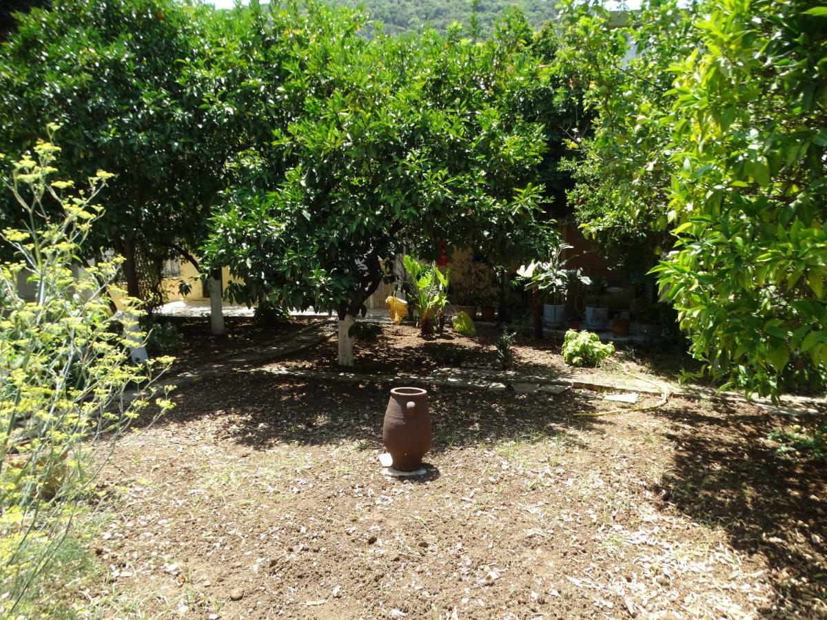The Grapevine Rooms Poros  Exteriör bild